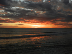 Siesta Key Sunset Vacation Rental